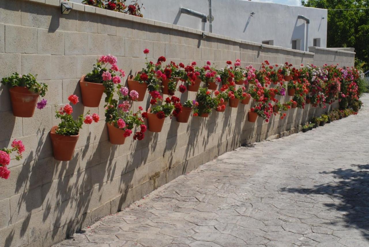 Pueblos Blancos Vejer de la Frontera Extérieur photo